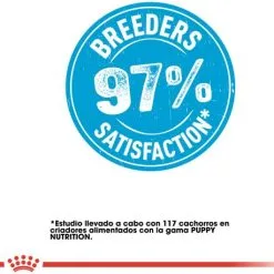 Royal Canin Cibo Secco Per Cani Starter Maxi Mother & Babe Dog -Nourriture pour chien Boutique 308 8 7 g