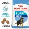 Royal Canin Maxi Puppy Cibo Per Cuccioli Di Razza Grande 1 Royal Canin Maxi Puppy Cibo Per Cuccioli Di Razza Grande -Nourriture pour chien Boutique 32 1 0 g