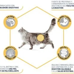 Advance Cat Adult Sensitive Salmone E Riso -Nourriture pour chien Boutique 3358 3 3 g