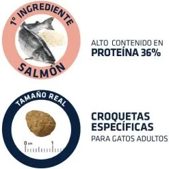 Advance Cat Adult Sensitive Salmone E Riso -Nourriture pour chien Boutique 3358 4 4 g