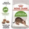 Royal Canin Cibo Secco Per Gatti Active Life Outdoor 30