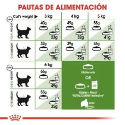 Royal Canin Cibo Secco Per Gatti Active Life Outdoor 30 -Nourriture pour chien Boutique 3449 6 g