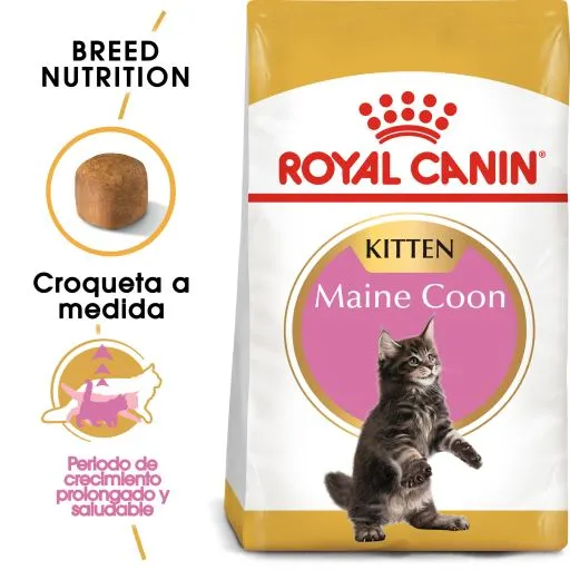 Royal Canin Cibo Secco Per Gatti Kitten Maine Coon 36 3 Royal Canin Cibo Secco Per Gatti Kitten Maine Coon 36