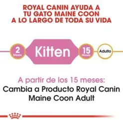 Royal Canin Cibo Secco Per Gatti Kitten Maine Coon 36 13 Royal Canin Cibo Secco Per Gatti Kitten Maine Coon 36 -Nourriture pour chien Boutique 3466 1 g