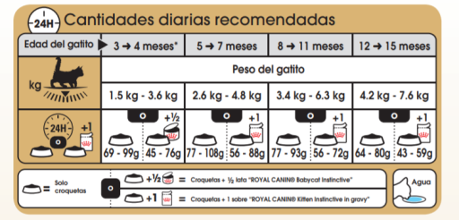 Royal Canin Cibo Secco Per Gatti Kitten Maine Coon 36 9 Royal Canin Cibo Secco Per Gatti Kitten Maine Coon 36 – Image 7