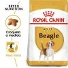 Royal Canin Beagle Adult 2 Royal Canin Beagle Adult -Nourriture pour chien Boutique 39613 1 0 g