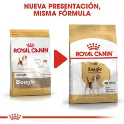 Royal Canin Beagle Adult -Nourriture pour chien Boutique 39613 6 5 g
