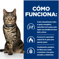 Hill's Pienso Prescription Diet Feline Metabolic Atún Para Gatos 13 Hill's Pienso Prescription Diet Feline Metabolic Atún Para Gatos -Nourriture pour chien Boutique 4 6442770d4fe80 g