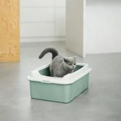 Rotho Bonnie Eco Cat Litter Tray Green -Nourriture pour chien Boutique 4004705092 7610859232847 pi rgb 102472 1 646b5f1a957a4 g