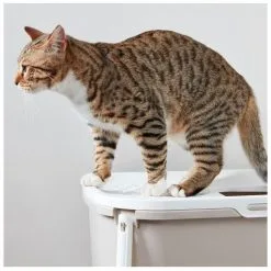 Savic Lettiera Coperta Per Gatti Hop In Moka -Nourriture pour chien Boutique 428021 savic casita gato hop in gris 5 5 g