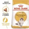 Royal Canin Cibo Secco Per Gatti Norweigan Forest Adult -Nourriture pour chien Boutique 42931 0 g