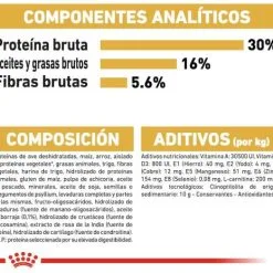 Royal Canin Cibo Secco Per Gatti Norweigan Forest Adult -Nourriture pour chien Boutique 42931 5 g