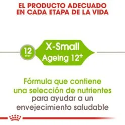 Royal Canin Cibo Secco Per Cani X-Small Ageing +12 Cibo Secco Per Cani 12 Royal Canin Cibo Secco Per Cani X-Small Ageing +12 Cibo Secco Per Cani -Nourriture pour chien Boutique 4396 3 2 g
