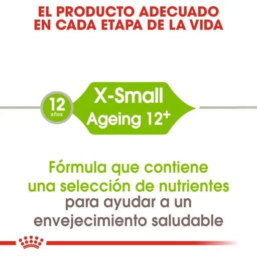 Royal Canin Cibo Secco Per Cani X-Small Ageing +12 Cibo Secco Per Cani 5 Royal Canin Cibo Secco Per Cani X-Small Ageing +12 Cibo Secco Per Cani – Image 3