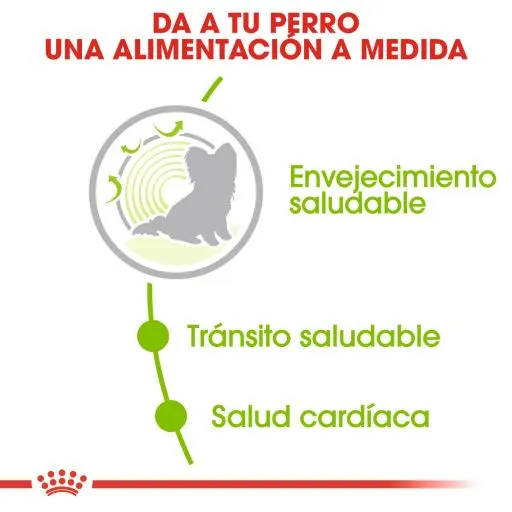 Royal Canin Cibo Secco Per Cani X-Small Ageing +12 Cibo Secco Per Cani 6 Royal Canin Cibo Secco Per Cani X-Small Ageing +12 Cibo Secco Per Cani – Image 4