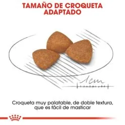 Royal Canin Cibo Secco Per Cani X-Small Ageing +12 Cibo Secco Per Cani 14 Royal Canin Cibo Secco Per Cani X-Small Ageing +12 Cibo Secco Per Cani -Nourriture pour chien Boutique 4396 5 4 g