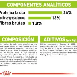 Royal Canin Cibo Secco Per Cani X-Small Ageing +12 Cibo Secco Per Cani 17 Royal Canin Cibo Secco Per Cani X-Small Ageing +12 Cibo Secco Per Cani -Nourriture pour chien Boutique 4396 8 7 g