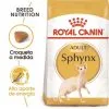 Royal Canin Cibo Secco Per Gatti Sphenx 33 Adult