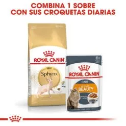 Royal Canin Cibo Secco Per Gatti Sphenx 33 Adult 19 Royal Canin Cibo Secco Per Gatti Sphenx 33 Adult -Nourriture pour chien Boutique 4988 7 g