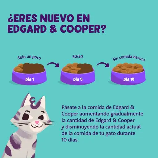 Edgard & Cooper Cibo Secco Senza Cereali A Base Di Tacchino E Pollo Per Gatti Adulti 7 Edgard & Cooper Cibo Secco Senza Cereali A Base Di Tacchino E Pollo Per Gatti Adulti – Image 5