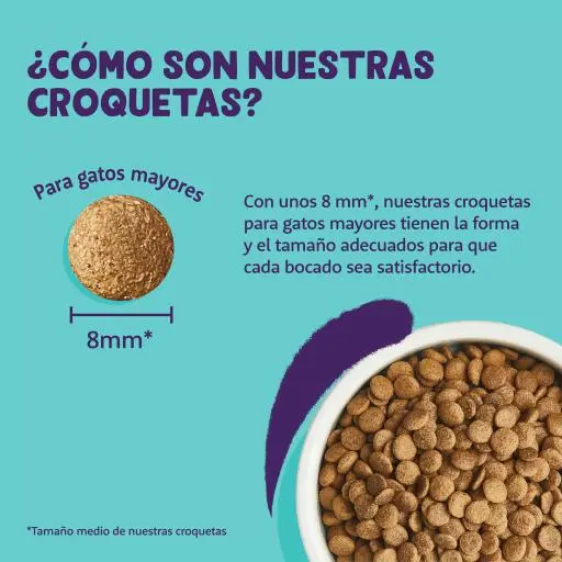 Edgard & Cooper Cibo Secco Senza Cereali A Base Di Tacchino E Pollo Per Gatti Adulti 8 Edgard & Cooper Cibo Secco Senza Cereali A Base Di Tacchino E Pollo Per Gatti Adulti – Image 6