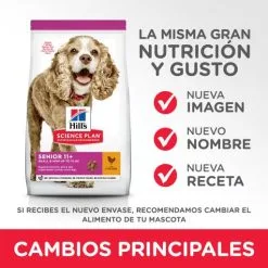 Hill's Science Plan Senior +11 Small & Mini Con Pollo -Nourriture pour chien Boutique 62899 52742283005 1 4 g