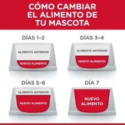 Hill's Science Plan Senior +11 Small & Mini Con Pollo -Nourriture pour chien Boutique 62899 52742283005 2 10 g