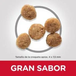 Hill's Science Plan Senior +11 Small & Mini Con Pollo -Nourriture pour chien Boutique 62899 52742283005 3 8 g