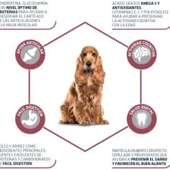 Advance Cibo Secco Medium Senior Di Pollo E Riso -Nourriture pour chien Boutique 66 3 3 g