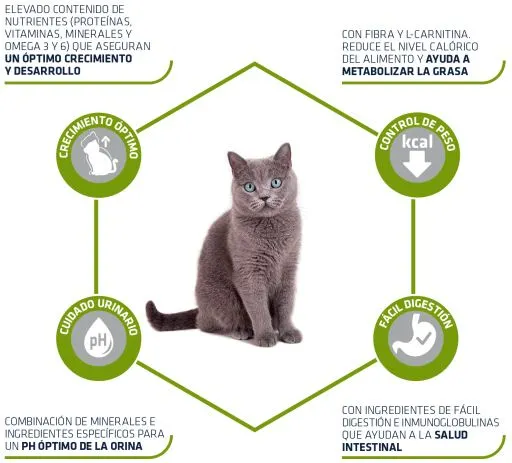 Advance Cibo Secco Eoung Sterilized 5 Advance Cibo Secco Eoung Sterilized – Image 3