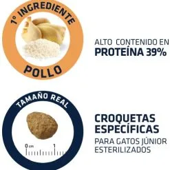 Advance Cibo Secco Eoung Sterilized 11 Advance Cibo Secco Eoung Sterilized -Nourriture pour chien Boutique 67756 4 4 g