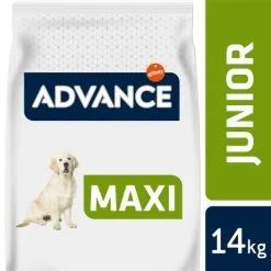 Nourriture pour chien Boutique -Nourriture pour chien Boutique 70 1 2 g