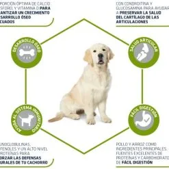 Advance Cibo Secco Maxi Junior Pollo E Riso -Nourriture pour chien Boutique 70 3 3 g