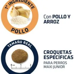 Advance Cibo Secco Maxi Junior Pollo E Riso -Nourriture pour chien Boutique 70 4 4 g