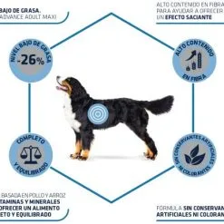 Advance Cibo Secco Maxi Light Pollo E Riso -Nourriture pour chien Boutique 71 3 3 g
