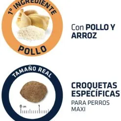 Advance Cibo Secco Maxi Light Pollo E Riso -Nourriture pour chien Boutique 71 4 4 g