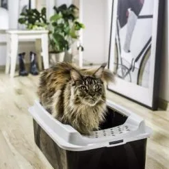 Rotho Bonnie Eco Cat Litter Tray Black 11 Rotho Bonnie Eco Cat Litter Tray Black -Nourriture pour chien Boutique 71Nkd3lriRL 646b5e3fa89d4 g