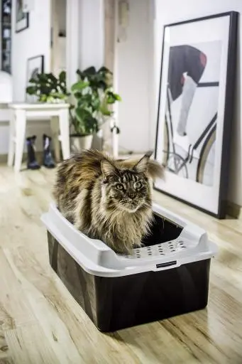 Rotho Bonnie Eco Cat Litter Tray Black 7 Rotho Bonnie Eco Cat Litter Tray Black – Image 5