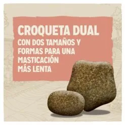 Dog Chow Cibo Secco Per Cani Light Di Tacchino -Nourriture pour chien Boutique 7613034487773 4 croqueta 63071ccb629f4 g