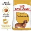 Royal Canin Cibo Secco Per Cani Dachshund Adult