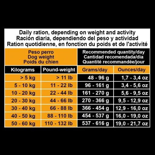 Arquivet Cibo Per Cani Adulti Con Pollo E Riso 8 Arquivet Cibo Per Cani Adulti Con Pollo E Riso – Image 6