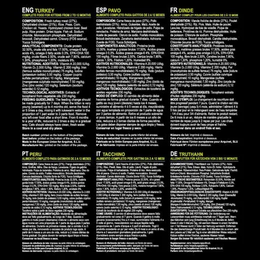 Arquivet Gatto Gattino Tacchino 9 Arquivet Gatto Gattino Tacchino – Image 7