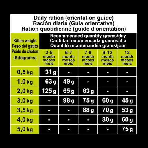 Arquivet Gatto Gattino Tacchino 10 Arquivet Gatto Gattino Tacchino – Image 8