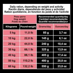 Arquivet Cane Original Adult Original Adult Salmone E Riso -Nourriture pour chien Boutique 8435117892781 7 g