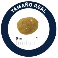 Advance Pienso Gastroenteric Sensitive Para Gato -Nourriture pour chien Boutique 85801 5 5 g