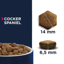 Nourriture pour chien Boutique -Nourriture pour chien Boutique 8710255120294 637f61e239cae g