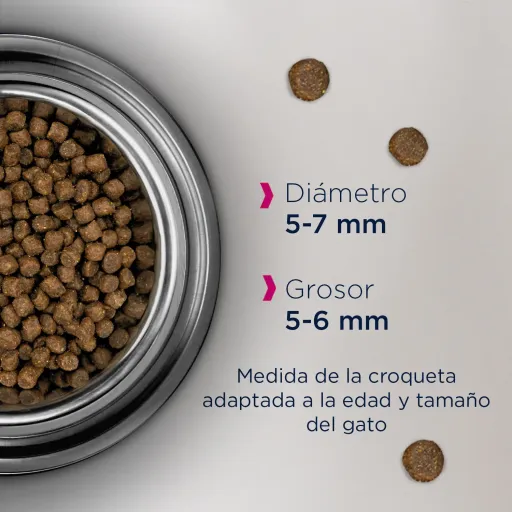 Eukanuba Kitten Pollo E Fegato Healthy Start 4 Eukanuba Kitten Pollo E Fegato Healthy Start – Image 2