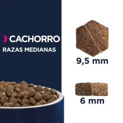 Eukanuba Cucciolo Di Razza Media -Nourriture pour chien Boutique 8710255122410 637f65415d5b5 g