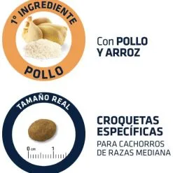 Advance Cibo Secco Puppe Medium Pollo E Riso -Nourriture pour chien Boutique 95246 4 4 g