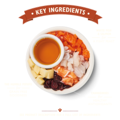 Lily's Kitchen Mangime Secco Fisherman's Feast 7 Lily's Kitchen Mangime Secco Fisherman's Feast -Nourriture pour chien Boutique BCDFF 2 62d1855a3018f g